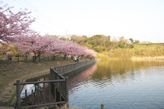 神奈川県三浦市南下浦町上宮田　売地