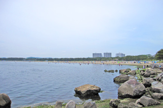 神奈川県横浜市金沢区西柴4丁目　売地