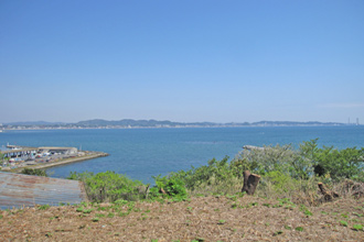 三浦市南下浦町金田　売地
