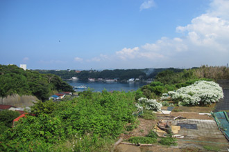 三浦市三崎町小網代｜売地｜2280万円