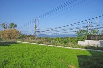 三浦市三崎町小網代　売地