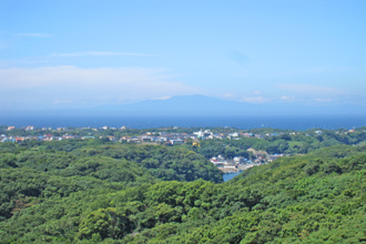 神奈川県三浦市三崎町小網代　売地