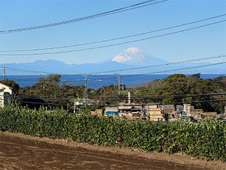 三浦市初声町三戸　売地