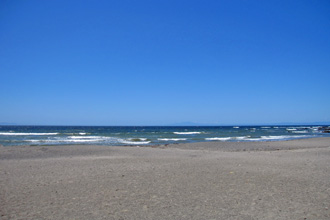 三浦市初声町和田　売地