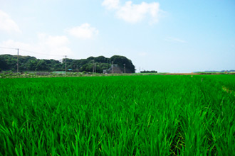 三浦市初声町和田　売地