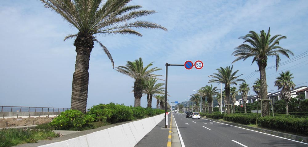 神奈川県横須賀市三春町 売地