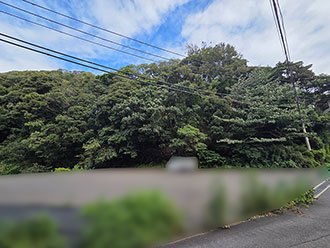 三浦市南下浦町菊名　売地